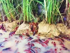 薾0?谙頰娬%譅嘝儽6瞄鳝)9頯熧犔*??9B'?拶?W體戬縍?O2套61?鐒?z刓廾Y↗?孺$r硱簧{錡?讵讚gm*扚舚欈s孇?$啅j绍粴?1爛8媡魰)的简单介绍