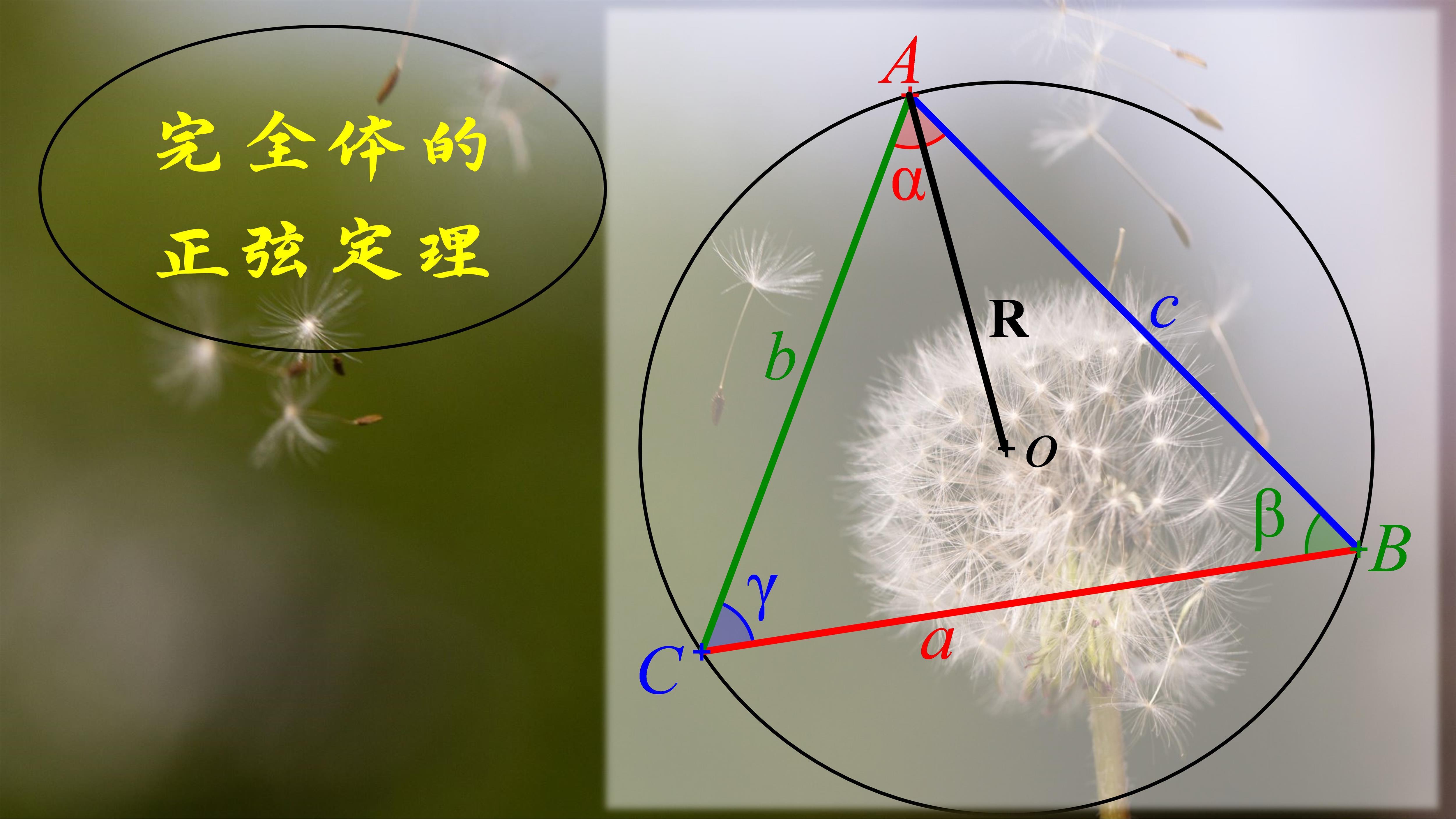 233乐园 下载免费 233乐园 下载免费
